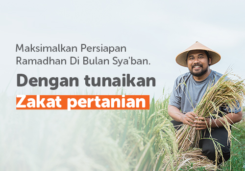 Zakat Pertanian