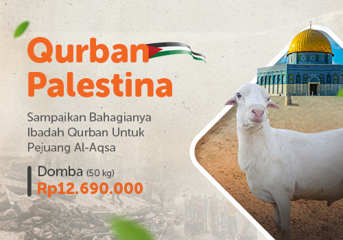 Qurban Domba Palestina