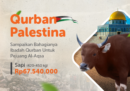 Qurban Sapi Palestina