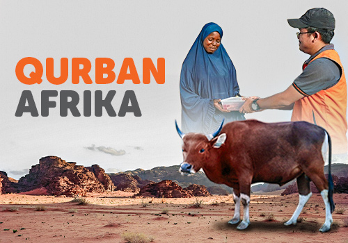 Qurban 1/7 Sapi  Afrika