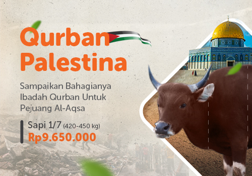 Qurban 1/7 Sapi Palestina