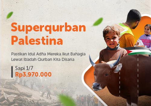 Superqurban 1/7 Sapi Palestina