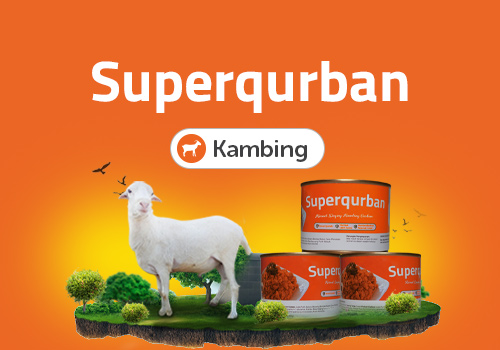 Superqurban Kambing Kornet Mega Syariah
