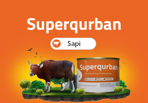 Superqurban Sapi Rendang Mega Syariah