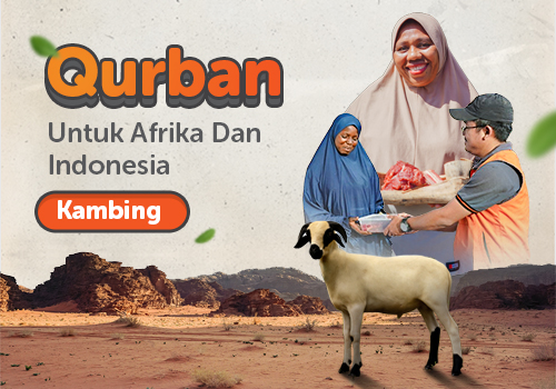 Qurban Kambing Afrika