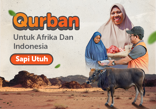 Qurban Sapi  Afrika