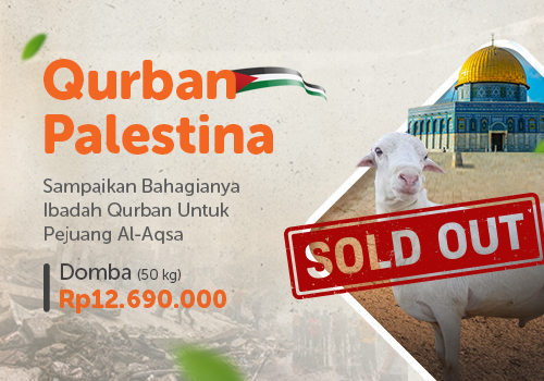 Qurban Domba Palestina