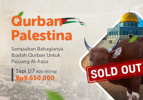 Qurban 1/7 Sapi Palestina