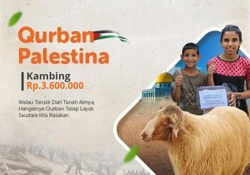 Superqurban Kambing Palestina