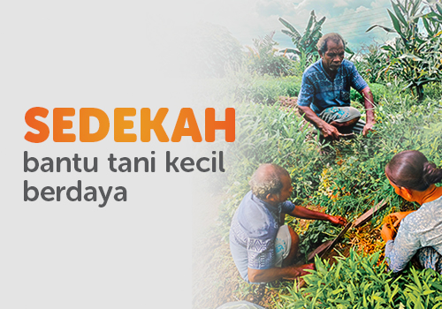 Sedekah Bantu Petani Kecil Berdaya