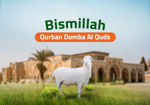 Qurban Domba Al Quds