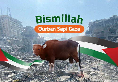 Qurban Sapi Gaza