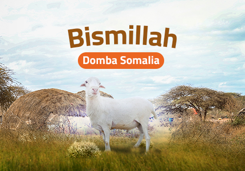Qurban Domba Somalia