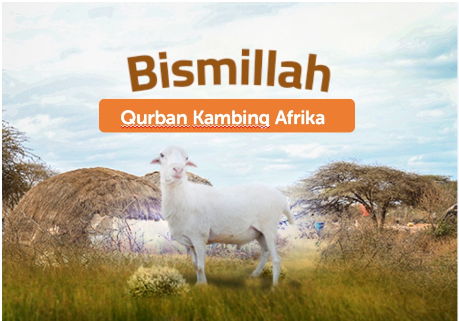 Qurban Domba Afrika