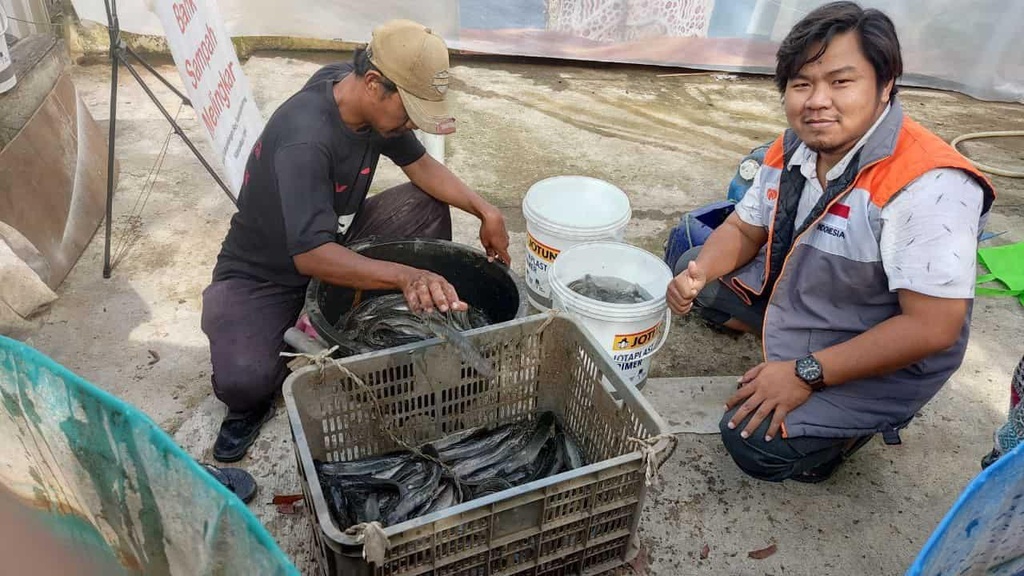 Panen Lele Hasil Dari Pengelolaan Limbah Organik.